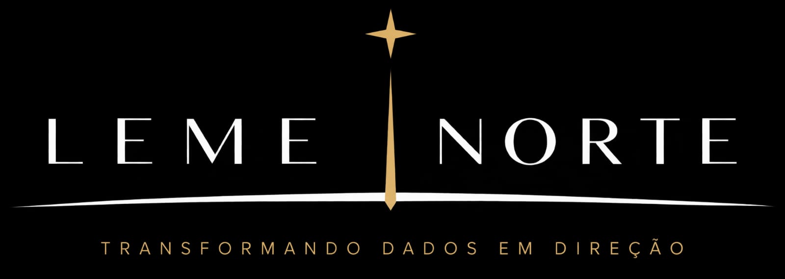 Leme Norte Soluções — Transformando dados em direção